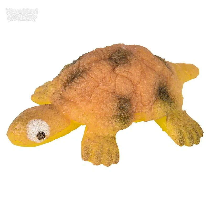 Small Hatch And Grow Turtle Egg