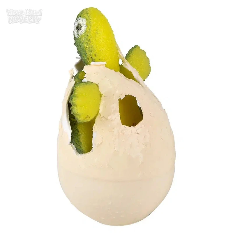 Small Hatch And Grow Turtle Egg