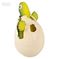 Small Hatch And Grow Turtle Egg