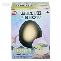 Small Hatch And Grow Turtle Egg