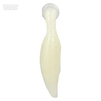 Sticky Glow in the Dark Leech