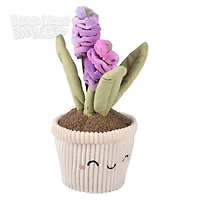 Succulent Plush Assorted Styles