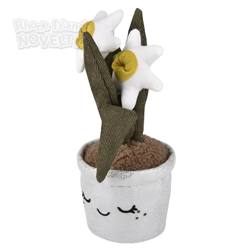 Succulent Plush Assorted Styles