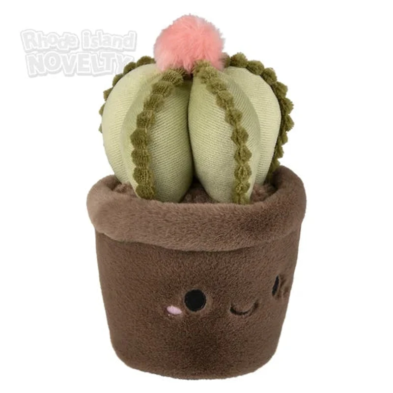 Succulent Plush Assorted Styles