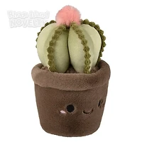 Succulent Plush Assorted Styles