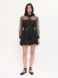 Top Sheer Balloon Dress