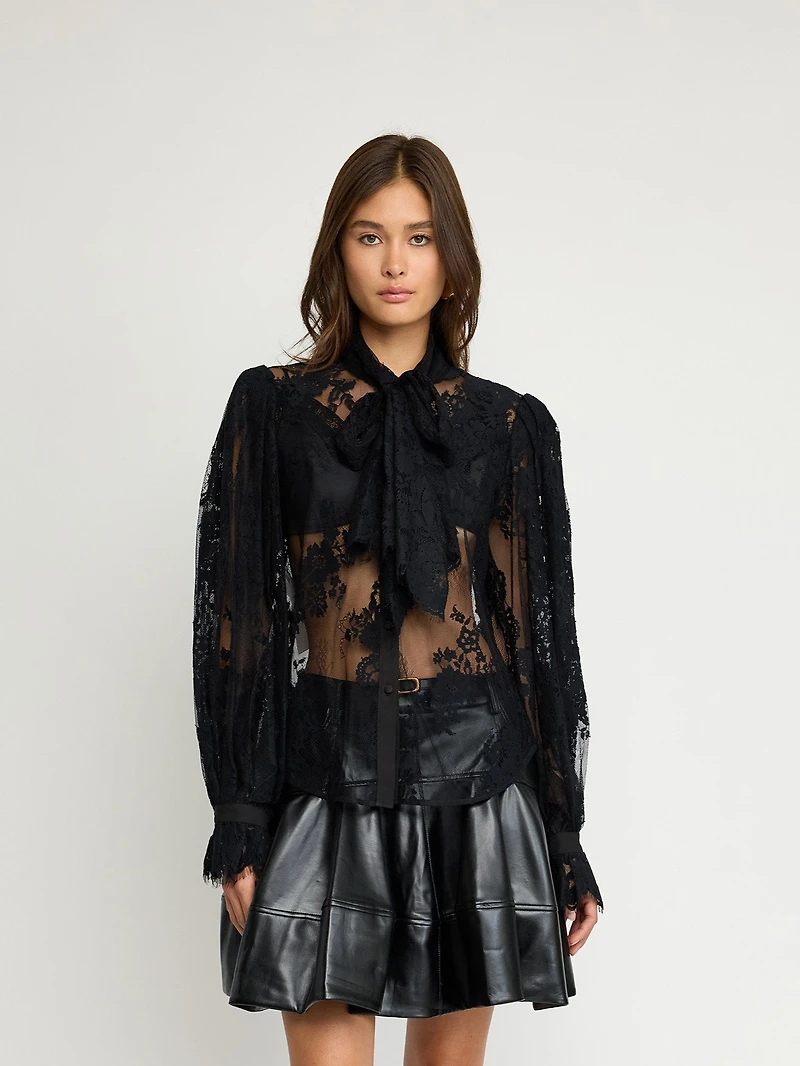 Sheer Lace Blouse with Tie Neck