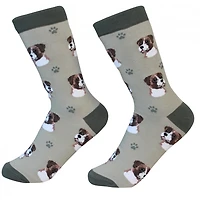Sock Daddy - Boxer - Sage - Crew - Unisex