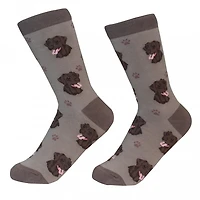 Sock Daddy - Labrador - Chocolate - Crew - Unisex