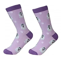 Sock Daddy - Maltese - Purple - Crew - Unisex