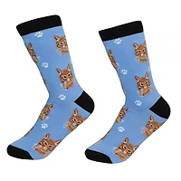 Sock Daddy - Tabby - Orange - Crew - Unisex