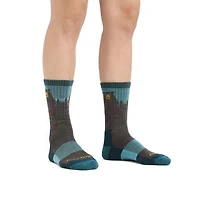 Darn Tough - Bear Town Lightweight Hiking Micro Crew Aqua Women's