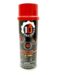 10 Seconds - Shoe Disinfectant Spray