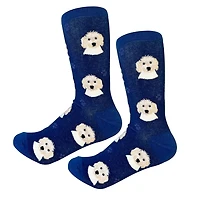 Sock Daddy - Goldendoodle - Navy - Crew - Unisex