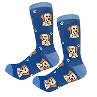 Sock Daddy - Labrador - Yellow - Crew - Unisex
