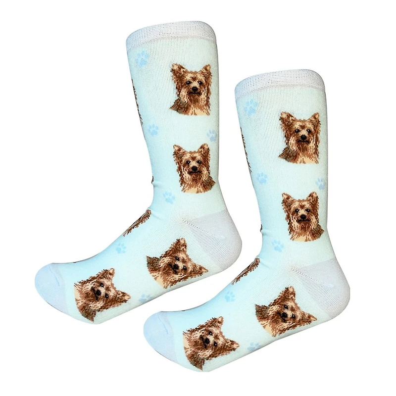 Sock Daddy - Yorkie - Teal - Crew - Unisex