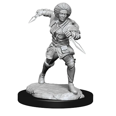 D&D - Magic Miniatures - Unpainted