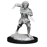 D&D - Magic Miniatures - Unpainted