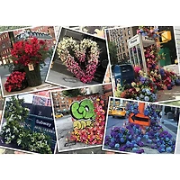 Ravensburger NYC Exposition Florale - 1000 pièces
