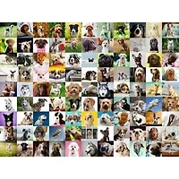 Ravensburger 99 adorables chiens - 750 pièces Large