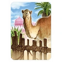 Jaipur (Multilingue)