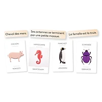 Linkto - Animaux (Francais)