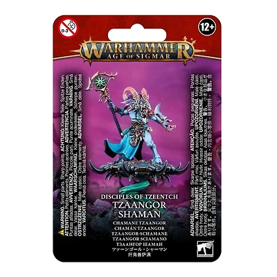 Tzaangor Shaman
