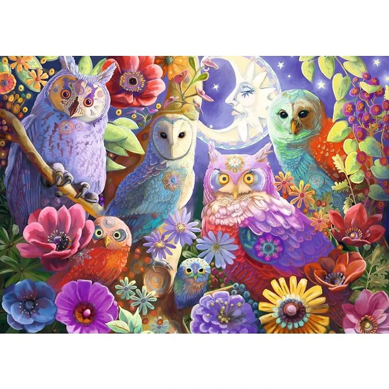 Ravensburger Hiboux colorés - 300 pièces Large