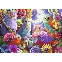Ravensburger Hiboux colorés - 300 pièces Large