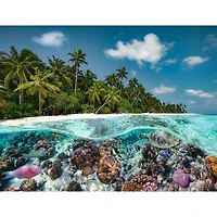 Ravensburger Une Plongée au Maldives - 2000 pièces