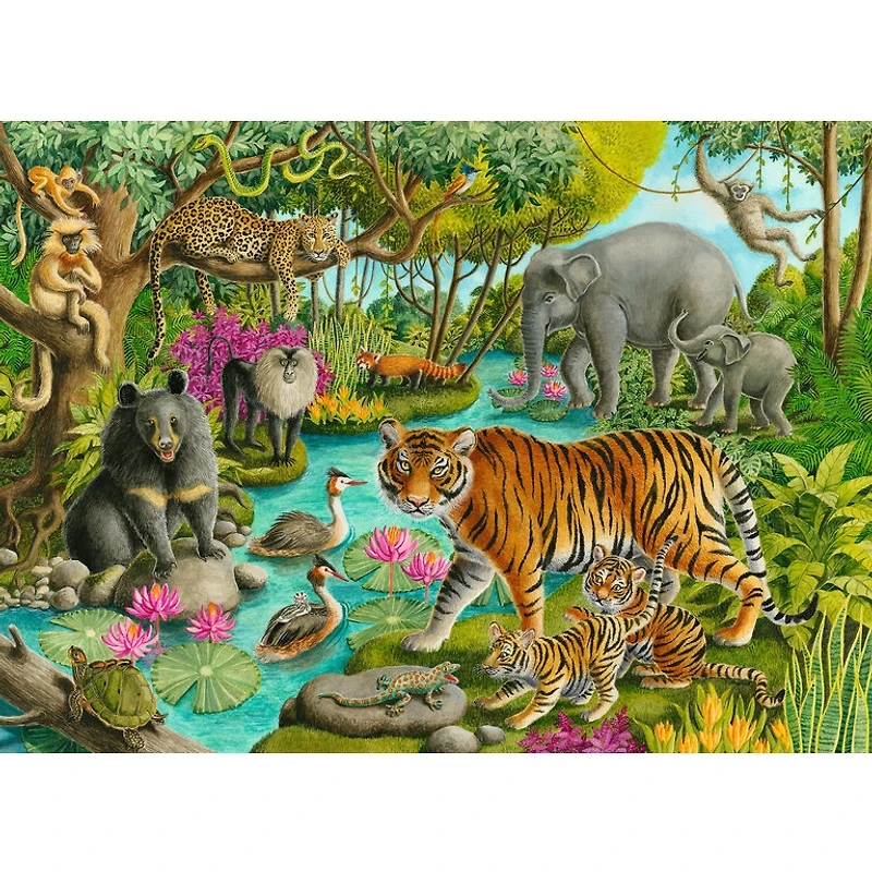 Ravensburger Les animaux de l'Inde - 60 pièces