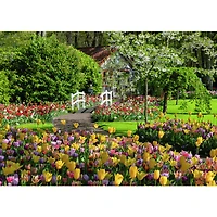 Keukenhof Gardens, Netherlands - 1000 pièces