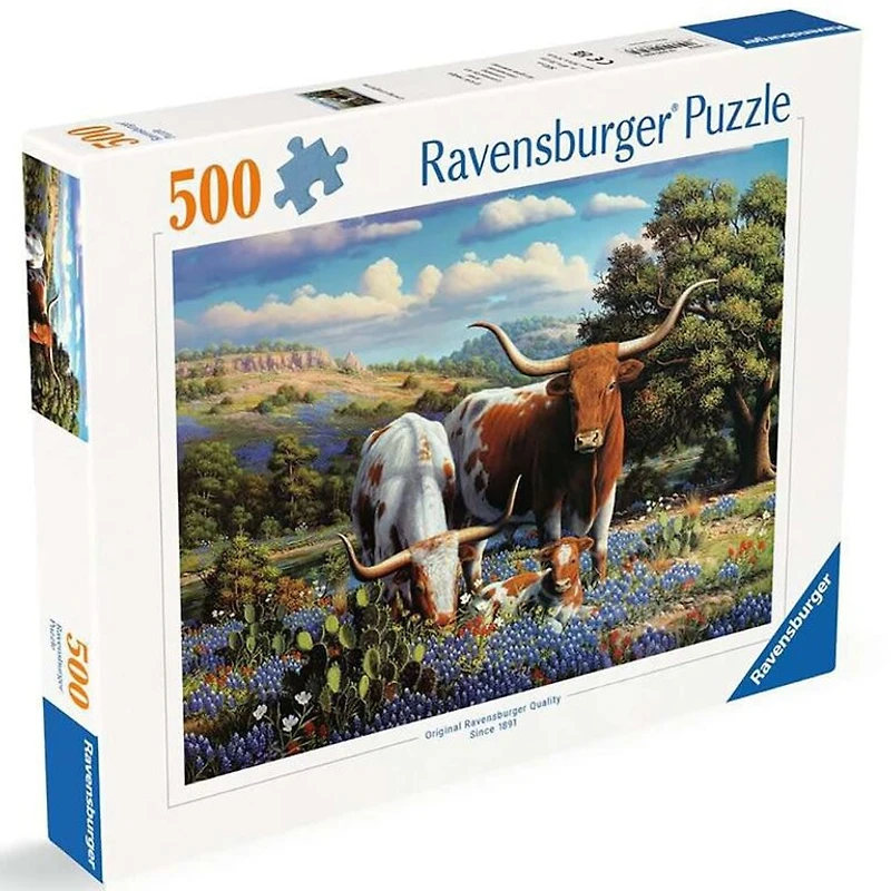 Aimer Longhorns - 500 pieces