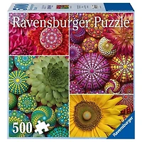 Mandala Blooms - 500 pièces