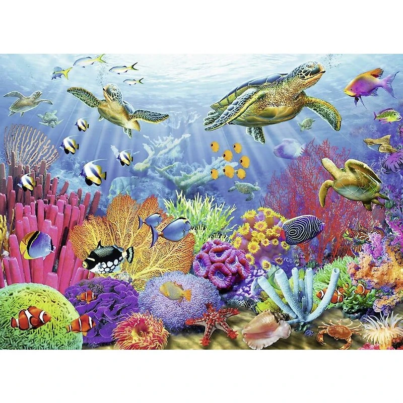 Tropical Waters - 500 pièces