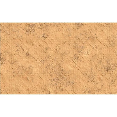 DnD Premium Battle Mat