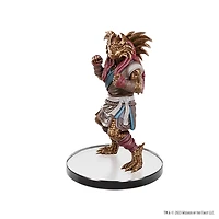 D&D - Icons Of The Realms - Character Miniatures - Planescape - Adventures in the Multiverse (Anglais)