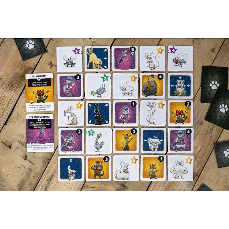 Chats de poche (Français)