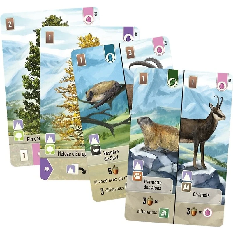 Forêt mixte - Alpes (French)