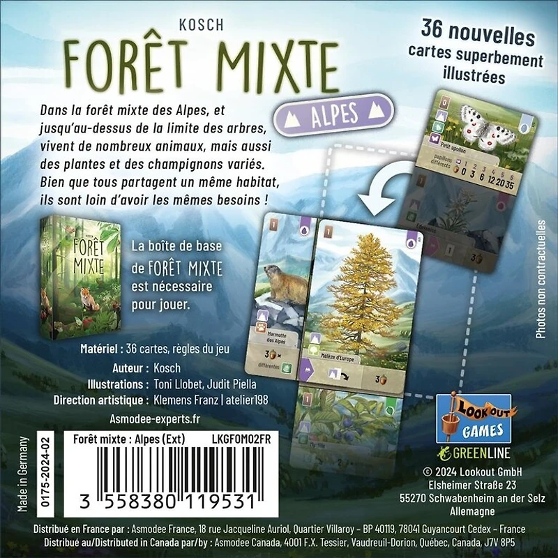 Forêt mixte - Alpes (French)
