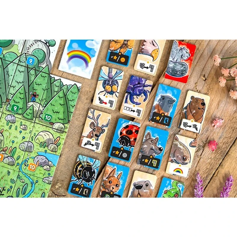 Solstis (Multilingue)