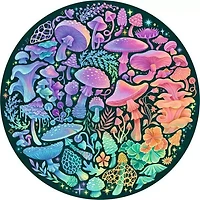 Circle of Colors - Mushrooms - 500 pièces