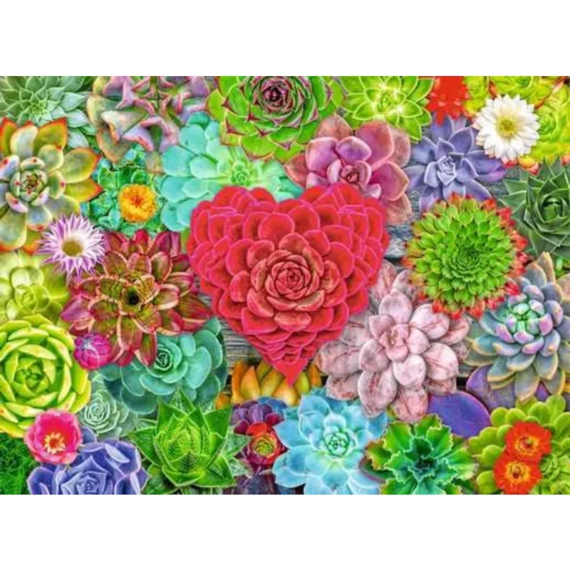 Succulent Love - 500 pièces