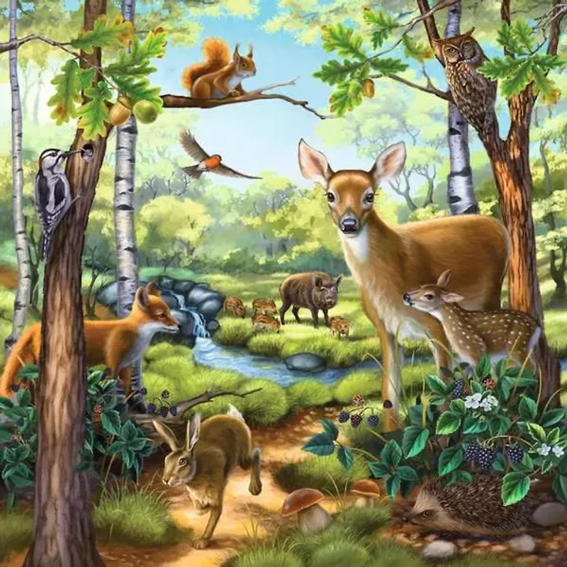 Animaux de la forêt, du zoo et domestiques - 3x49 pièces