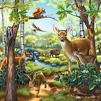Animaux de la forêt, du zoo et domestiques - 3x49 pièces