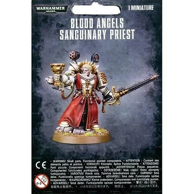 Blood Angels - Sanguinary Priest*