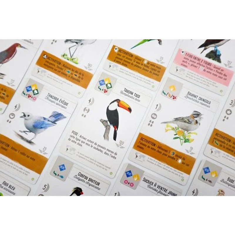 Wingspan - Amériques (Français) [PRÉCOMMANDE]