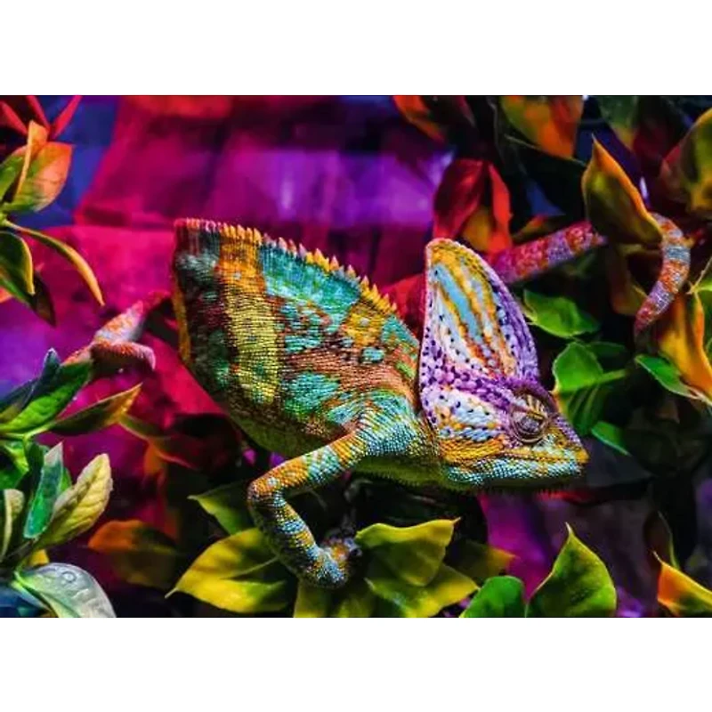 Ravensburger Caméléon - 500 pièces