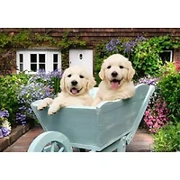 Ravensburger Bien être - Golden Retriever - 200 pièces XL