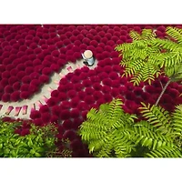 Ravensburger Un océan de rouge - 500 pièces